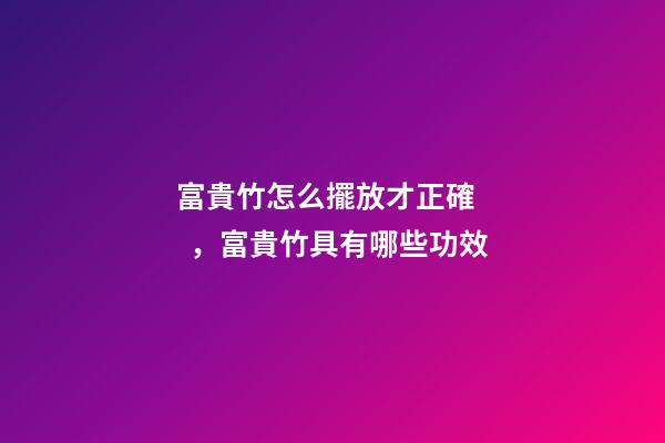 富貴竹怎么擺放才正確，富貴竹具有哪些功效